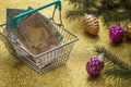 Christmas expenses / holiday decortions and Euro money in the shopping cart / concept Royalty Free Stock Photo