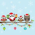 Christmas family of owls Royalty Free Stock Photo