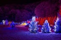 Christmas fantasy - pine trees in x-mas lights Royalty Free Stock Photo