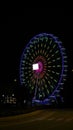 Christmas Ferris wheel at night