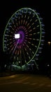 Christmas Ferris wheel at night with many colors