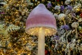 Christmas festive fairytale mushroom as decoration