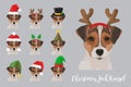 Christmas festive jack russel dog wearing celebration hats