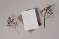 Christmas festive stationery mockup. Dry little red rose hips on beige table. Blank greeting card, invitation with craft Royalty Free Stock Photo