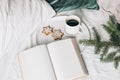 Christmas festive still life. Blank open book, diary mockup with cup of coffee, gingerbread cookie and spruce tree