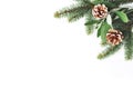 Christmas festive styled stock composition. Decorative corner. Pine cones, Fir and olive tree leaves and branches white