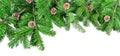 Christmas Fir Branches with Cones Panorama - Isolated Royalty Free Stock Photo