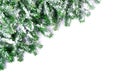 Christmas Fir Branches with Snow Corner - Isolated Royalty Free Stock Photo