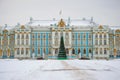 Christmas fir-tree in the background of the Catherine Palace on a cloudy December day. Winter in Tsarskoye Selo. Saint-Petersburg, Royalty Free Stock Photo