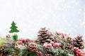 Christmas fir tree with bokeh background. Merry Christmas and Happy New Year. Christmas bokeh background with snow fir tree. Top Royalty Free Stock Photo