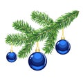 Christmas fir tree branch with blue balls isolated Royalty Free Stock Photo