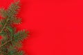 Christmas fir tree branches on a red background fir branches border on red background, good for christmas backdrop Royalty Free Stock Photo