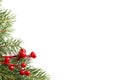 Christmas fir tree with decoration