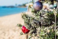 Christmas fir tree on sandy beach. New year celebration Royalty Free Stock Photo