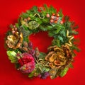 Christmas fir tree wreath over red background Royalty Free Stock Photo