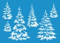 Christmas Fir Trees Contours