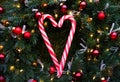 Christmas fir wreath with decor and candycanes on a background of grass