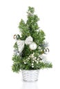 Christmas firtree Royalty Free Stock Photo