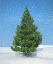 Christmas firtree during snowfall Royalty Free Stock Photo