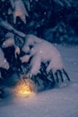 Christmas flashlight under the tree in the forest. Snowy forest