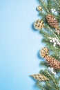Christmas flatlay background - fir tree and decorations on blue Royalty Free Stock Photo
