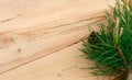 Christmas flatlay on a rustic wooden background: green pine needles with cones. Royalty Free Stock Photo