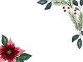 Christmas floral background with poinsettia flower and fir tree, christmas illustration, floral border design for card or invitati Royalty Free Stock Photo