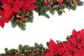 Christmas Floral Border