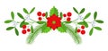 Christmas floral border. Spruce evergreen branch, poinsettia and holly berry Royalty Free Stock Photo