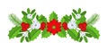 Christmas floral border. Spruce evergreen branch, poinsettia and holly berry Royalty Free Stock Photo