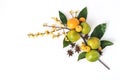 Christmas floral composition. Decorative corner, branch of tangerine citrus fruit and leaves, anise stars, yellow holly