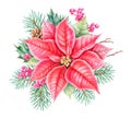 Christmas floral decor. Hand drawing watercolour botanical illustration.