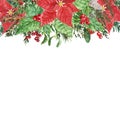 Christmas floral frame with watercolor winter seasonal greenery, green pine tree branches, red poinsettia flower, holly berries Royalty Free Stock Photo