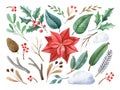 Christmas floral set. Watercolor illustration with poinsettia, mistletoe, fir-tree branches Royalty Free Stock Photo