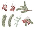 Christmas Florals Clipart set, Watercolor Winter Holiday Party decoration, Pine Tree, Berries illustration