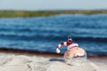 Christmas in Florida concept, santa ornament on beach