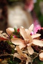 Christmas flower arrangement Royalty Free Stock Photo