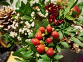 Christmas flower arrangement with red and mixed holiday greens Royalty Free Stock Photo
