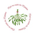 Christmas Flower Mistletoe and a short phrase - meet me under the mistletoe. Festive illustration with hanging sprigs of