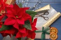 Christmas flower poinsettia with gift box on wooden table Royalty Free Stock Photo