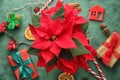 Christmas flower poinsettia with gift boxes and decorations on color table Royalty Free Stock Photo