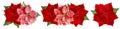 Christmas flower red poinsettia white background Floral border Royalty Free Stock Photo