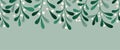 Christmas Mistletoe Foliage and Berries Vector Seamless Horizontal Pattern Border