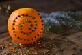 Christmas Food Decoration, Orange, Cloves, Fir Branch, Glitter