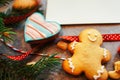 Christmas food gift homemade gingerbread cookies