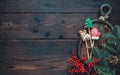 Christmas food: gingerbread on a stick. Deer, green christmas tree and red mitten cookies lay on wooden table with fir