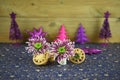 Christmas food photography picture with traditional food of mince pies with English winter flowers and glitter decorations