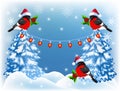 Christmas forest and bullfinches with lantern garland