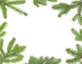 Christmas frame - Christmas tree branches isolated on white background Royalty Free Stock Photo