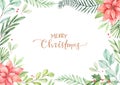 Christmas frame with eucalyptus, fir branch, poinsettia and holly - Watercolor illustration. Happy new year. Winter background Royalty Free Stock Photo